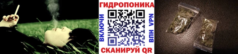 цены наркотик  KRAKEN как войти  Канабис THC 21%  Невель 